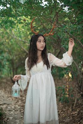 少年白马醉春风