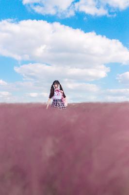 那年花开月正圆免费观看全集